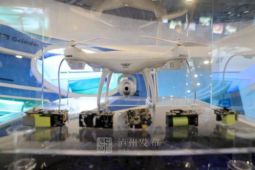 泸州半年考核第一站 农用无人机项目如何重新定义现代农业？