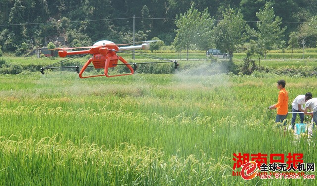 绥宁县农用无人机 田间制种授粉忙